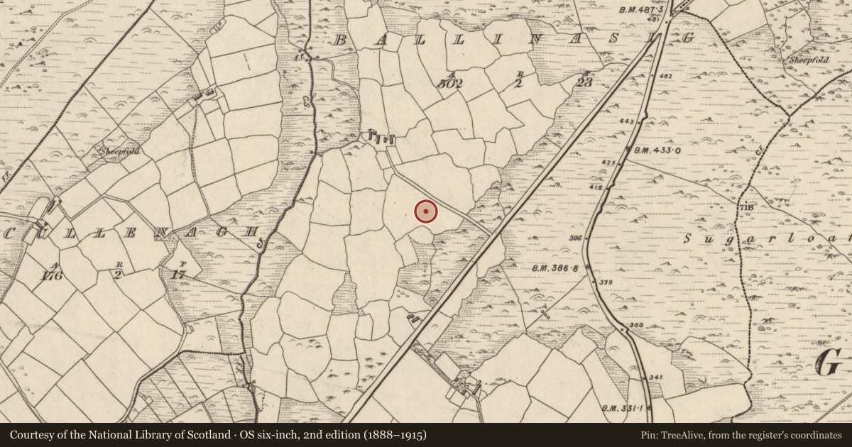 Ordnance Survey six-inch map, 2nd edition (1888–1915) covering the location of Standing stone, Baile An Ásaigh, County Kerry, with a pin at the register's coordinates