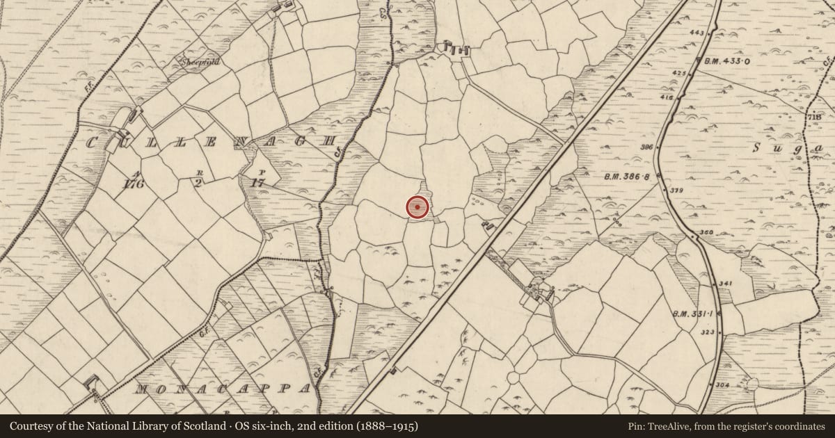 Ordnance Survey six-inch map, 2nd edition (1888–1915) covering the location of Settlement deserted - medieval, Baile An Ásaigh, County Kerry, with a pin at the register's coordinates