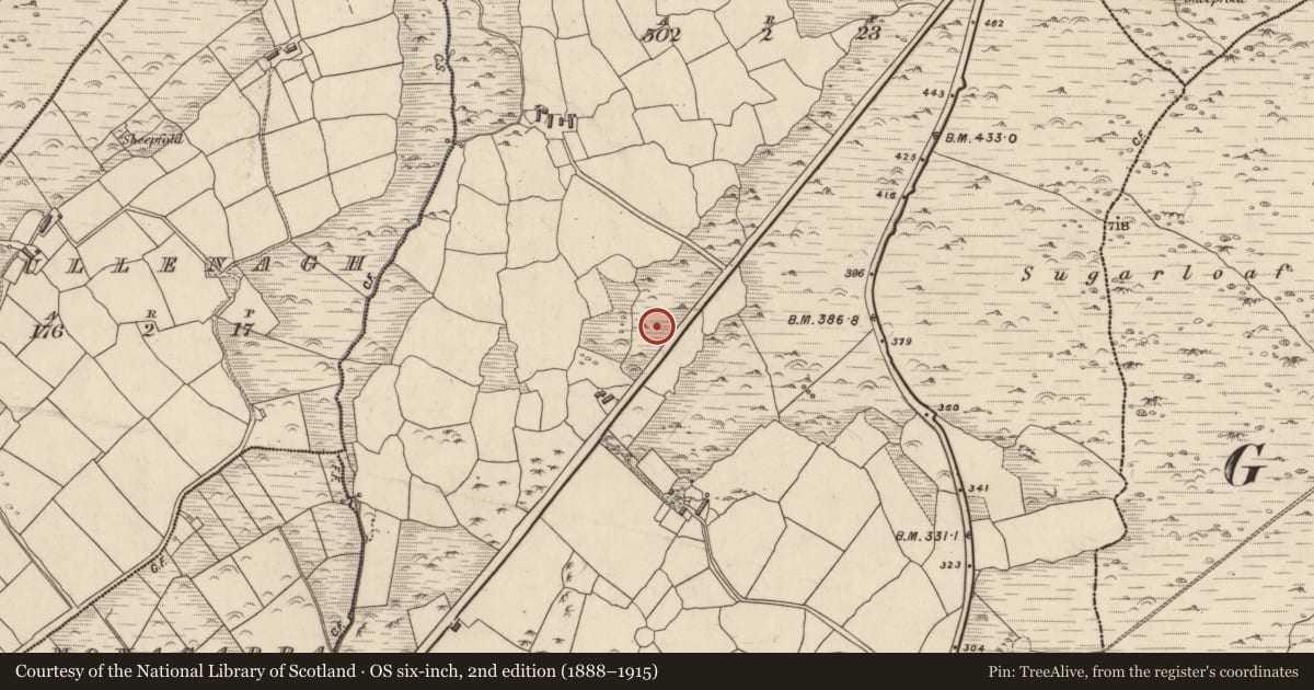 Ordnance Survey six-inch map, 2nd edition (1888–1915) covering the location of Standing stone, Baile An Ásaigh, County Kerry, with a pin at the register's coordinates