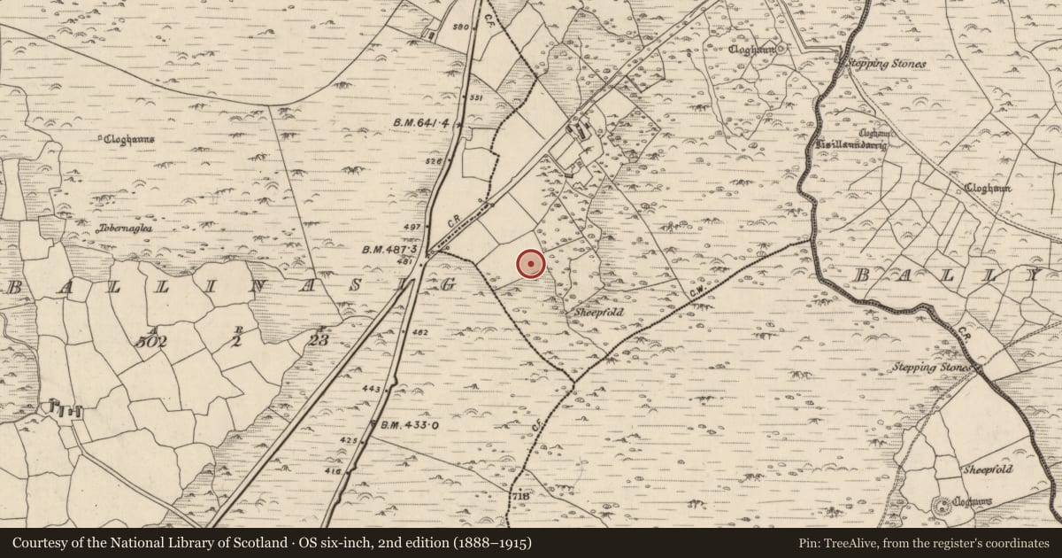 Ordnance Survey six-inch map, 2nd edition (1888–1915) covering the location of Hut site, Com An Bhúlaeraigh, County Kerry, with a pin at the register's coordinates