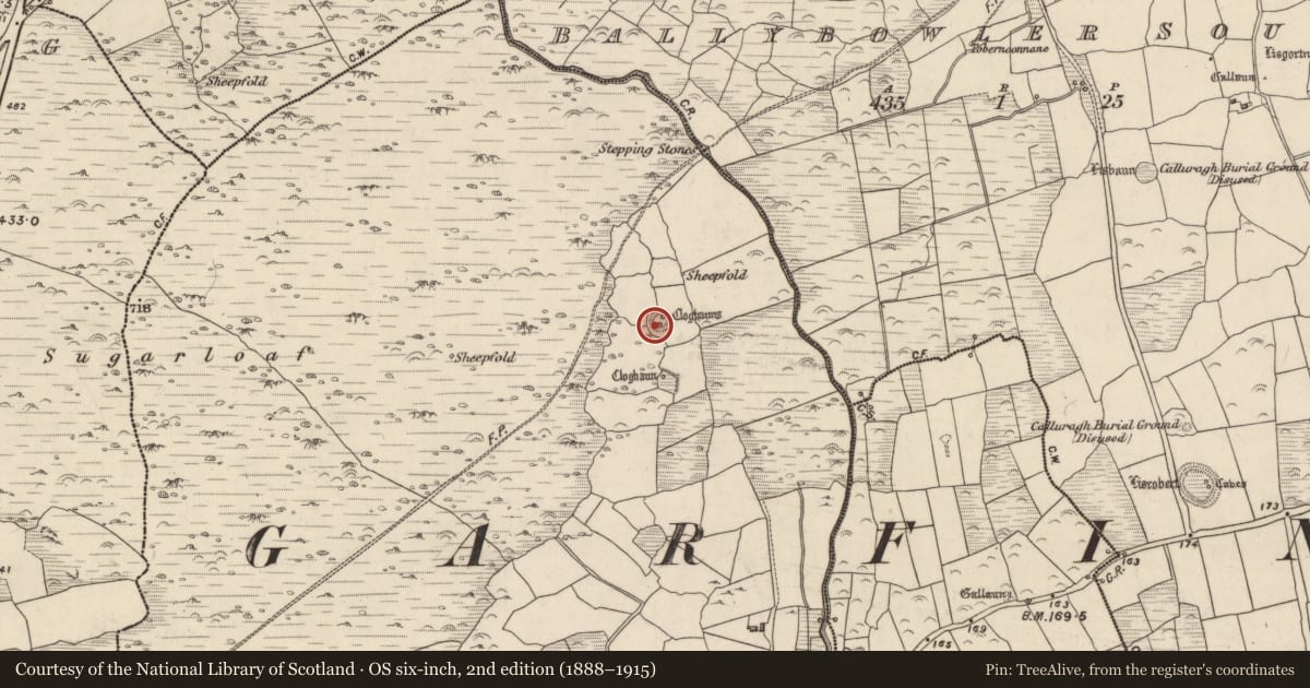 Ordnance Survey six-inch map, 2nd edition (1888–1915) covering the location of Ringfort - rath, An Ghairfeanaigh, County Kerry, with a pin at the register's coordinates