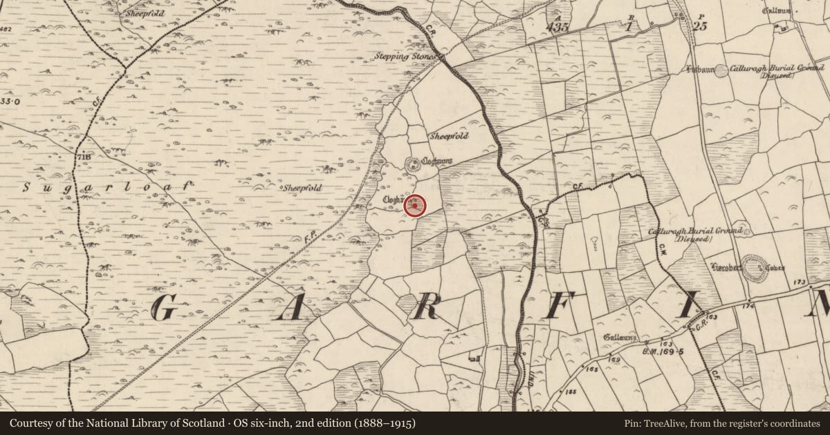 Ordnance Survey six-inch map, 2nd edition (1888–1915) covering the location of Hut site, An Ghairfeanaigh, County Kerry, with a pin at the register's coordinates