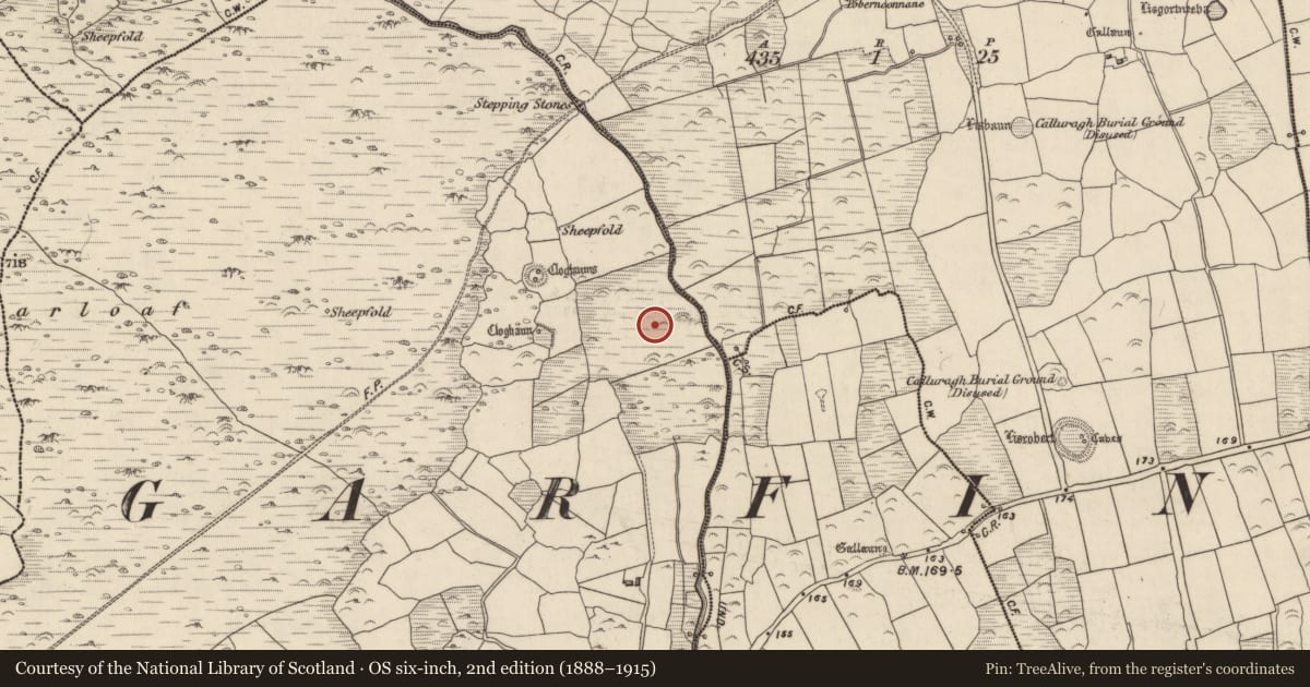 Ordnance Survey six-inch map, 2nd edition (1888–1915) covering the location of Fulacht fia, An Ghairfeanaigh, County Kerry, with a pin at the register's coordinates
