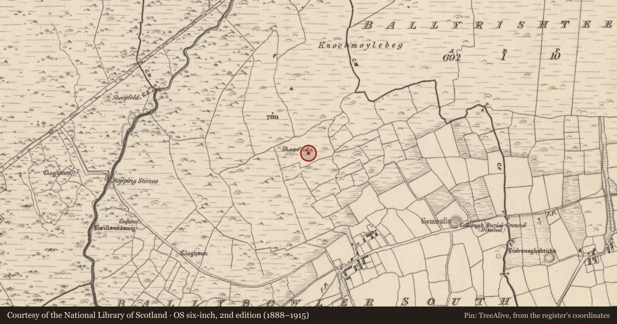 Ordnance Survey six-inch map, 2nd edition (1888–1915) covering the location of Hut site, Baile An Bhúlaeraigh Theas, County Kerry, with a pin at the register's coordinates