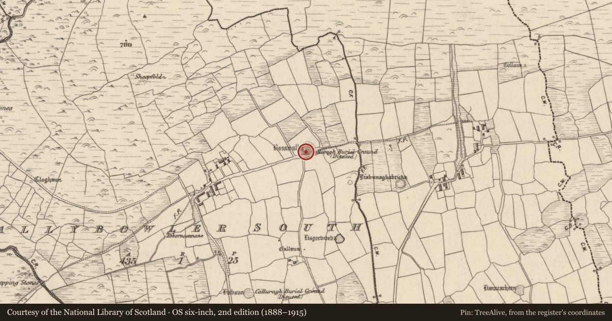 Ordnance Survey six-inch map, 2nd edition (1888–1915) covering the location of Children's burial ground, Baile An Bhúlaeraigh Theas, County Kerry, with a pin at the register's coordinates