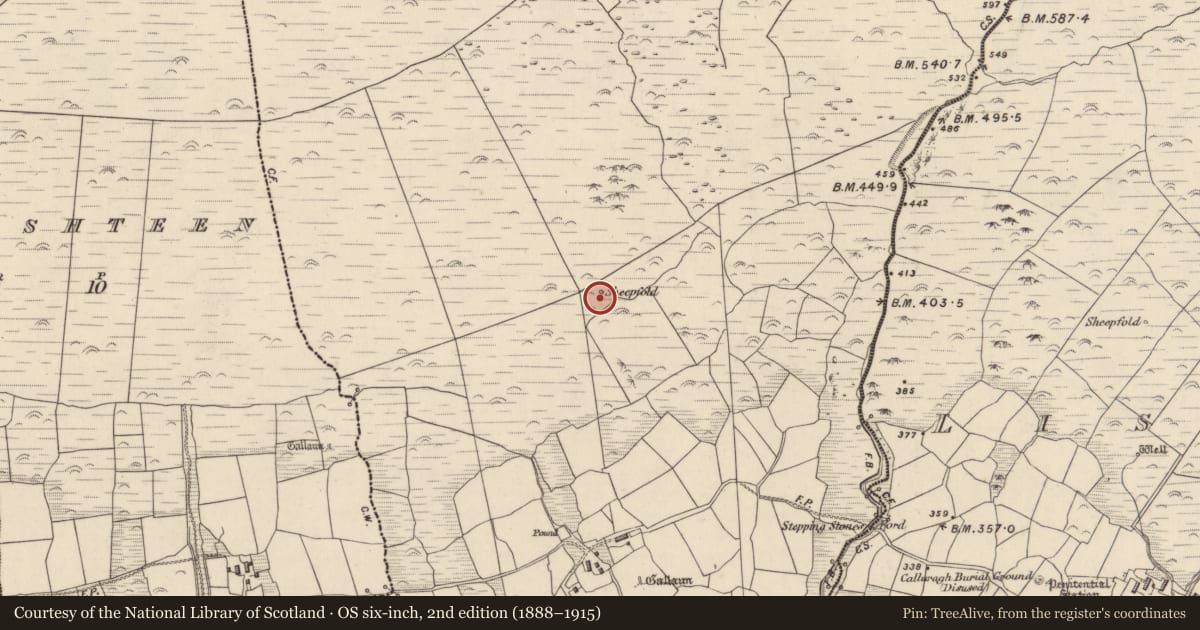 Ordnance Survey six-inch map, 2nd edition (1888–1915) covering the location of Hut site, Baile An Gharráin, County Kerry, with a pin at the register's coordinates