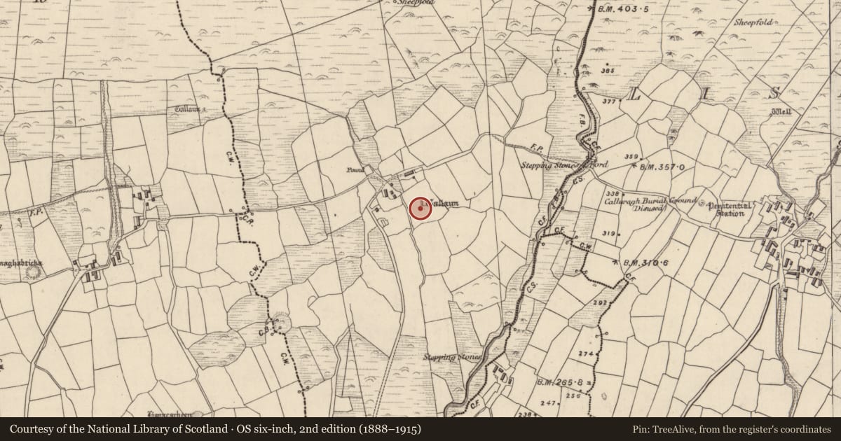 Ordnance Survey six-inch map, 2nd edition (1888–1915) covering the location of Standing stone, Baile An Gharráin, County Kerry, with a pin at the register's coordinates