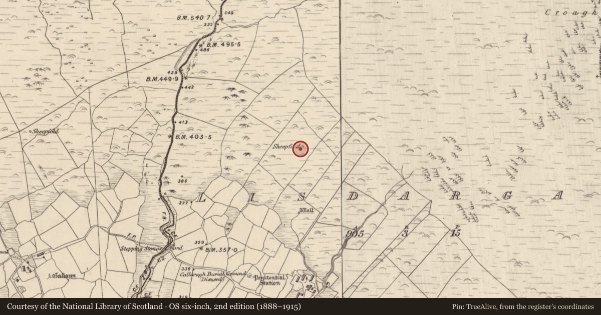 Ordnance Survey six-inch map, 2nd edition (1888–1915) covering the location of Hut site, Lios Deargáin, County Kerry, with a pin at the register's coordinates