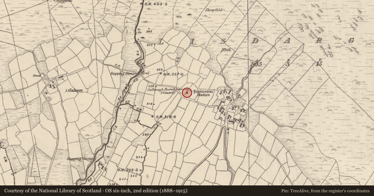 Ordnance Survey six-inch map, 2nd edition (1888–1915) covering the location of Children's burial ground, Lios Deargáin, County Kerry, with a pin at the register's coordinates