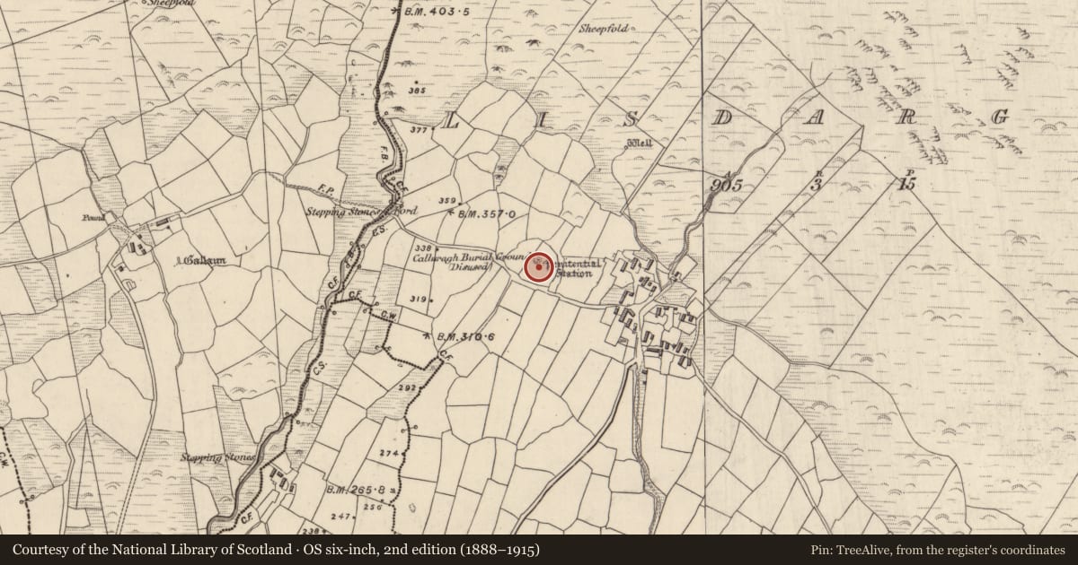 Ordnance Survey six-inch map, 2nd edition (1888–1915) covering the location of Cross-inscribed pillar, Lios Deargáin, County Kerry, with a pin at the register's coordinates