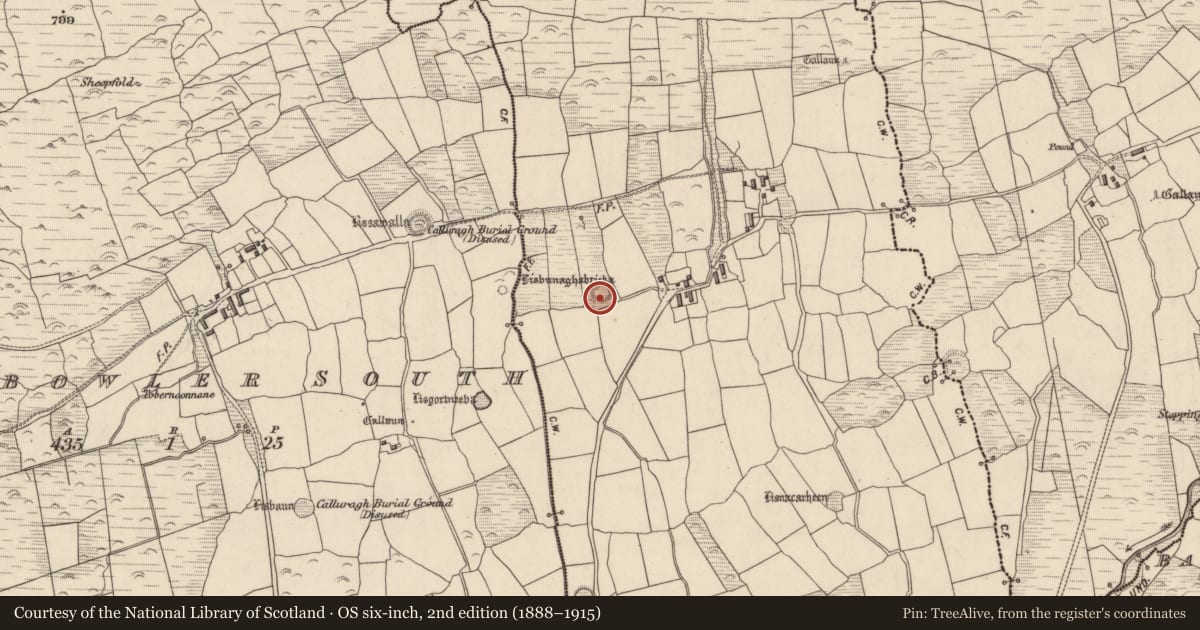 Ordnance Survey six-inch map, 2nd edition (1888–1915) covering the location of Ringfort - rath, Baile Ristín, County Kerry, with a pin at the register's coordinates