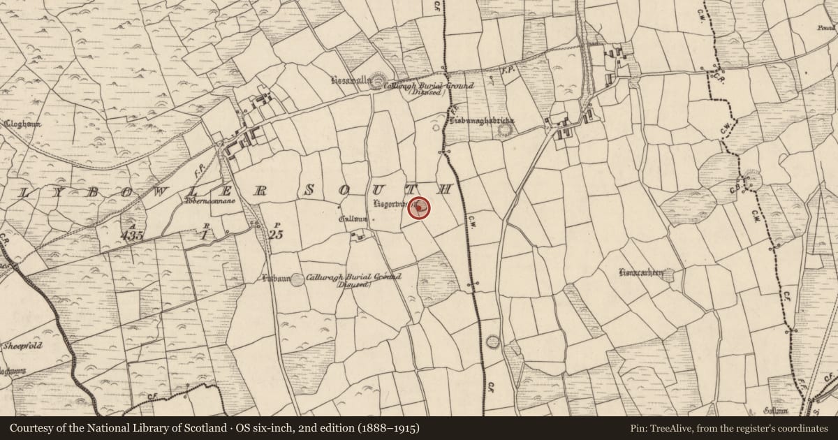 Ordnance Survey six-inch map, 2nd edition (1888–1915) covering the location of Ringfort - rath, Baile An Bhúlaeraigh Theas, County Kerry, with a pin at the register's coordinates