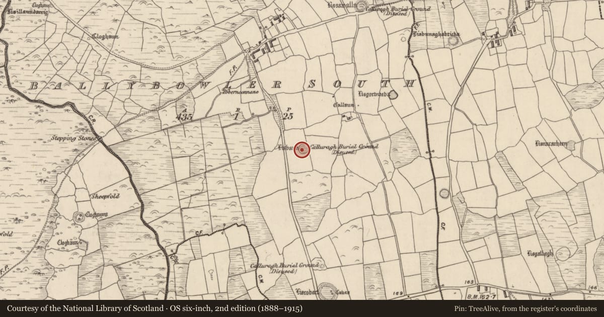 Ordnance Survey six-inch map, 2nd edition (1888–1915) covering the location of Ringfort - rath, Baile An Bhúlaeraigh Theas, County Kerry, with a pin at the register's coordinates