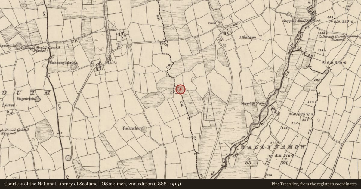 Ordnance Survey six-inch map, 2nd edition (1888–1915) covering the location of Ringfort - rath, Baile An Gharráin, Baile Ristín, County Kerry, with a pin at the register's coordinates