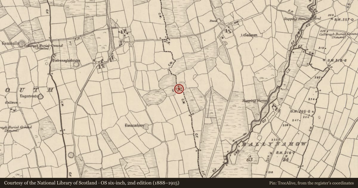 Ordnance Survey six-inch map, 2nd edition (1888–1915) covering the location of Clochan, Baile Ristín, County Kerry, with a pin at the register's coordinates