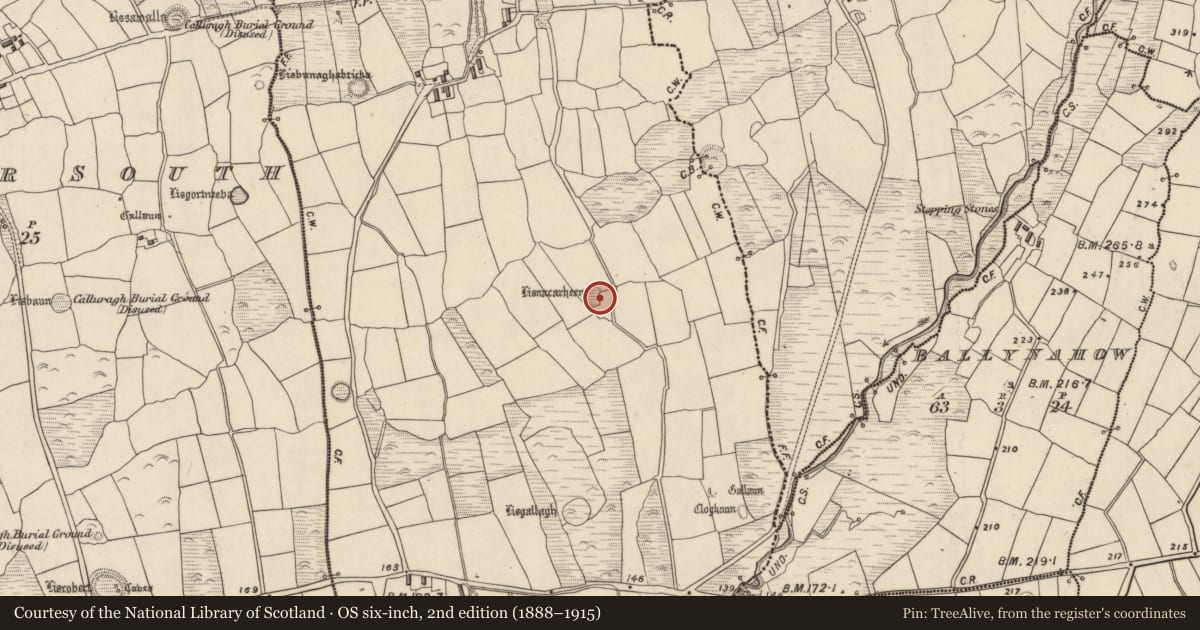 Ordnance Survey six-inch map, 2nd edition (1888–1915) covering the location of Souterrain, Baile Ristín, County Kerry, with a pin at the register's coordinates