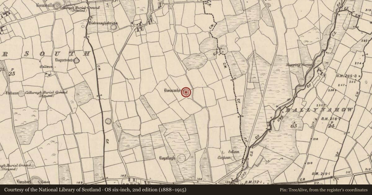 Ordnance Survey six-inch map, 2nd edition (1888–1915) covering the location of Hut site, Baile Ristín, County Kerry, with a pin at the register's coordinates