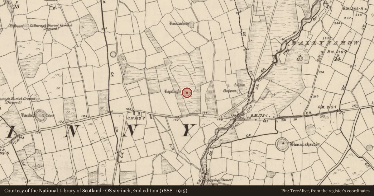 Ordnance Survey six-inch map, 2nd edition (1888–1915) covering the location of Ringfort - rath, Baile Ristín, County Kerry, with a pin at the register's coordinates