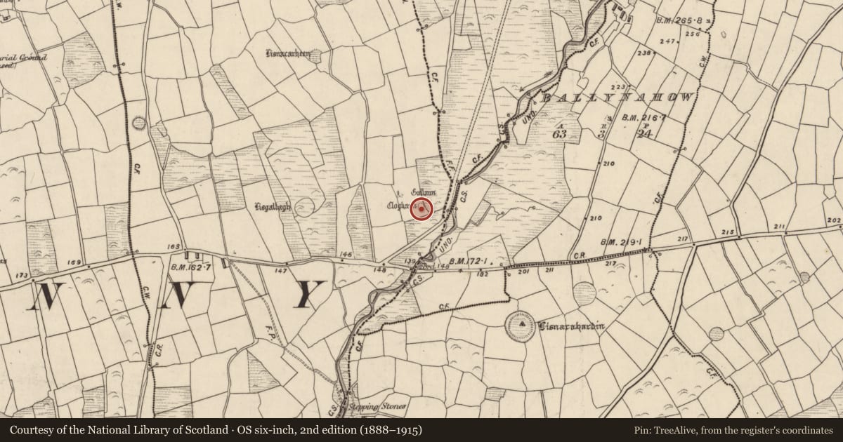 Ordnance Survey six-inch map, 2nd edition (1888–1915) covering the location of Ringfort - rath, Baile Ristín, County Kerry, with a pin at the register's coordinates