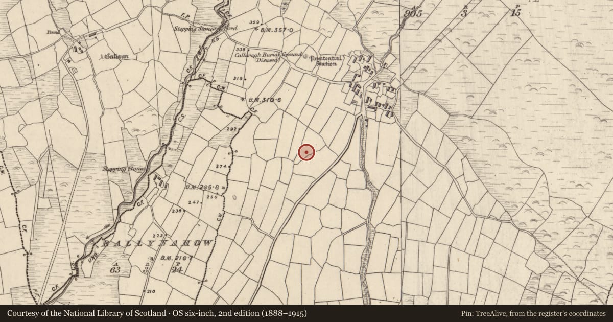 Ordnance Survey six-inch map, 2nd edition (1888–1915) covering the location of Standing stone, Lios Deargáin, County Kerry, with a pin at the register's coordinates