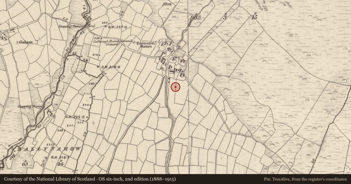 Ordnance Survey six-inch map, 2nd edition (1888–1915) covering the location of Standing stone, Lios Deargáin, County Kerry, with a pin at the register's coordinates