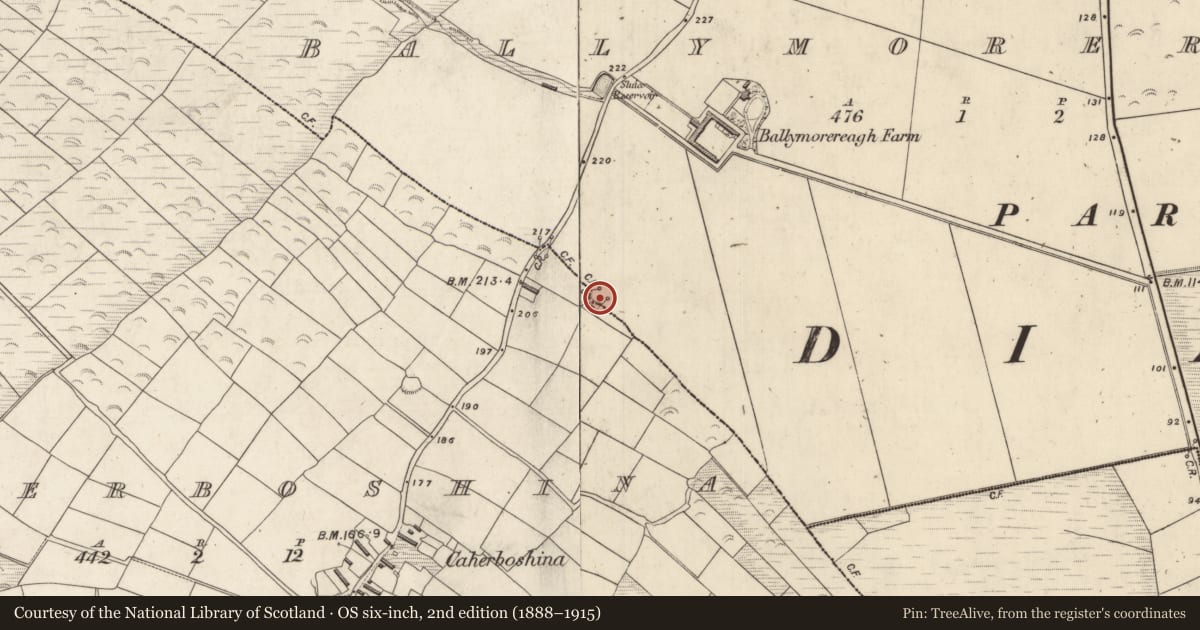 Ordnance Survey six-inch map, 2nd edition (1888–1915) covering the location of Ringfort - rath, An Baile Riabhach, Cathair Bó Sine, County Kerry, with a pin at the register's coordinates