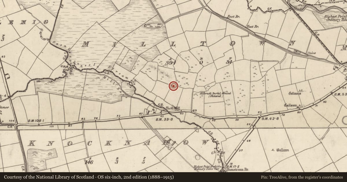Ordnance Survey six-inch map, 2nd edition (1888–1915) covering the location of Ringfort - rath, Baile An Mhuilinn (Corca Dhuibhne), County Kerry, with a pin at the register's coordinates
