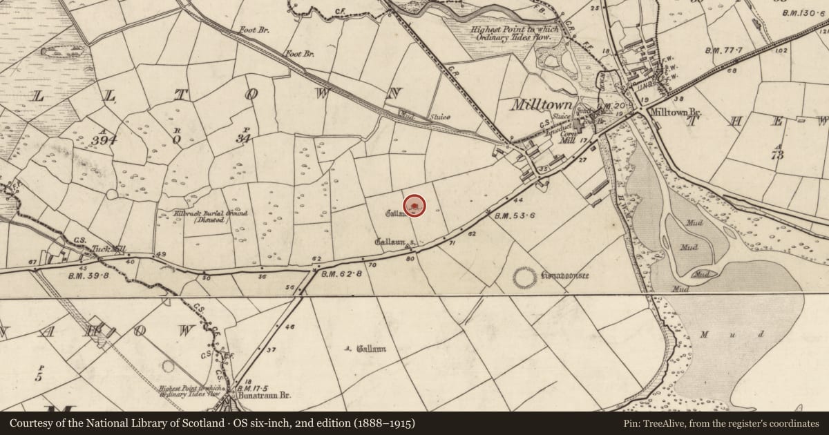 Ordnance Survey six-inch map, 2nd edition (1888–1915) covering the location of Standing stone - pair, Baile An Mhuilinn (Corca Dhuibhne), County Kerry, with a pin at the register's coordinates