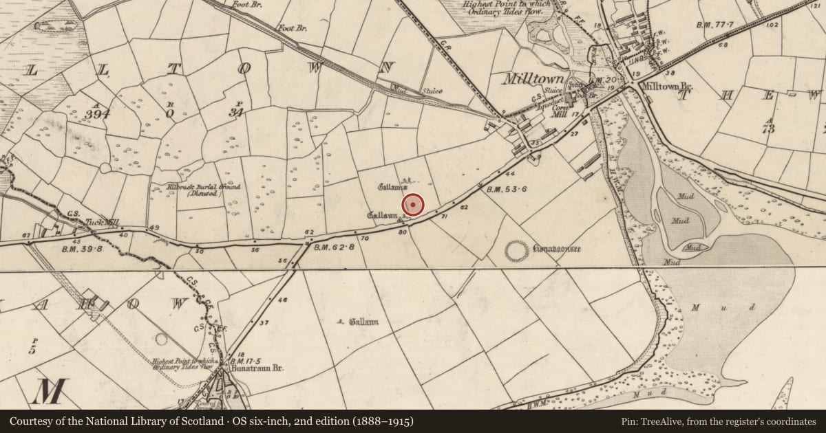 Ordnance Survey six-inch map, 2nd edition (1888–1915) covering the location of Rock art, Baile An Mhuilinn (Corca Dhuibhne), County Kerry, with a pin at the register's coordinates
