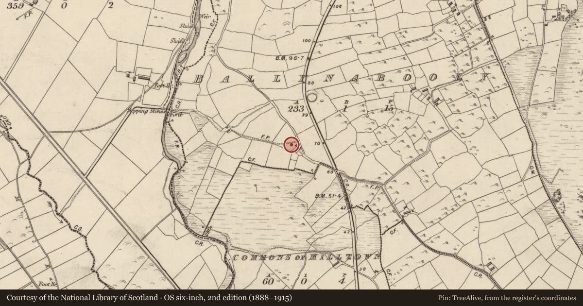 Ordnance Survey six-inch map, 2nd edition (1888–1915) covering the location of Cross-inscribed stone, Baile Na Buaile, County Kerry, with a pin at the register's coordinates