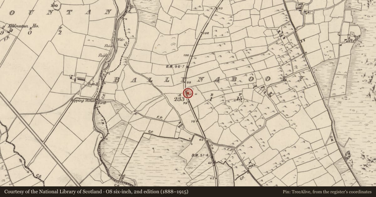 Ordnance Survey six-inch map, 2nd edition (1888–1915) covering the location of Ringfort - rath, Baile Na Buaile, County Kerry, with a pin at the register's coordinates