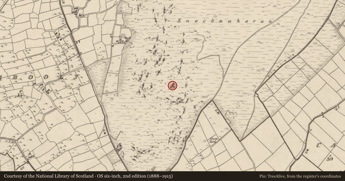 Ordnance Survey six-inch map, 2nd edition (1888–1915) covering the location of Cairn - unclassified, Coimín An Daingin, County Kerry, with a pin at the register's coordinates