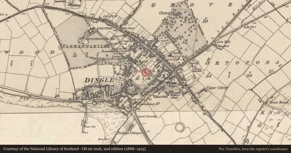 Ordnance Survey six-inch map, 2nd edition (1888–1915) covering the location of Historic town, County Kerry, with a pin at the register's coordinates