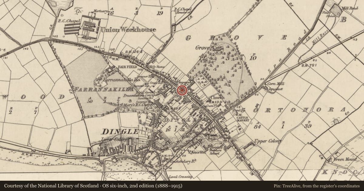 Ordnance Survey six-inch map, 2nd edition (1888–1915) covering the location of Castle - tower house, An Daingean, County Kerry, with a pin at the register's coordinates