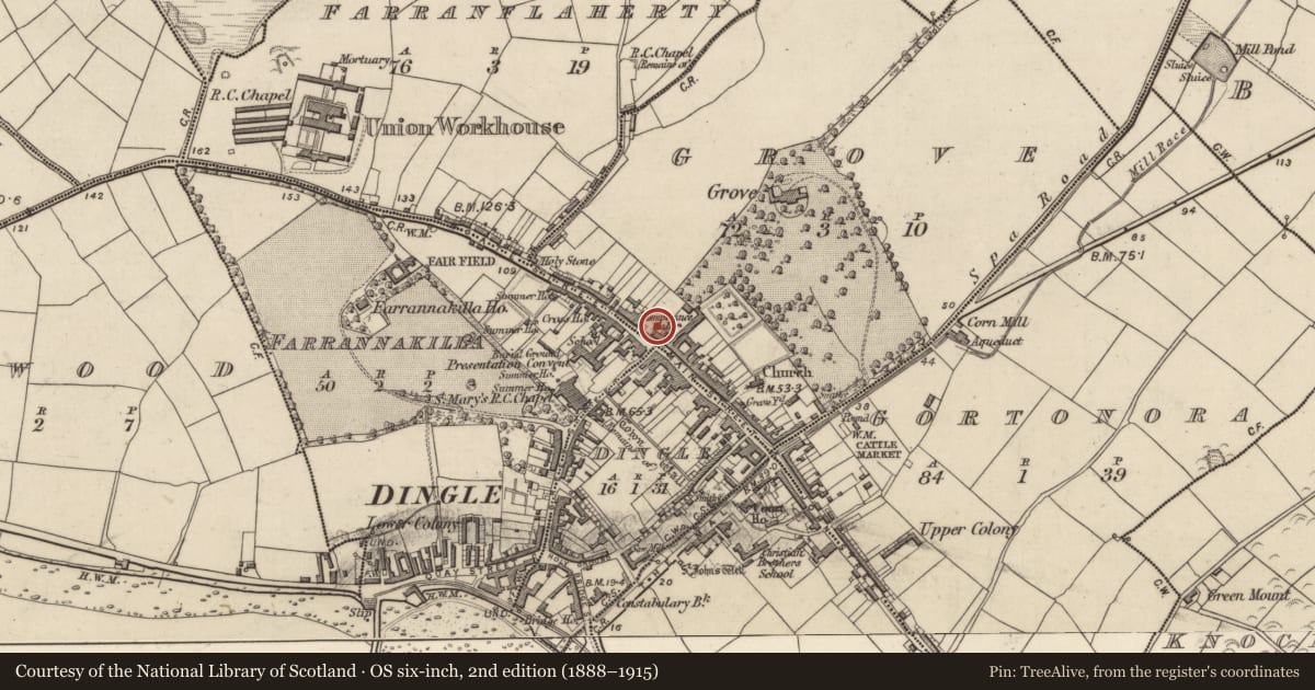 Ordnance Survey six-inch map, 2nd edition (1888–1915) covering the location of Castle - tower house, An Gróbh, County Kerry, with a pin at the register's coordinates