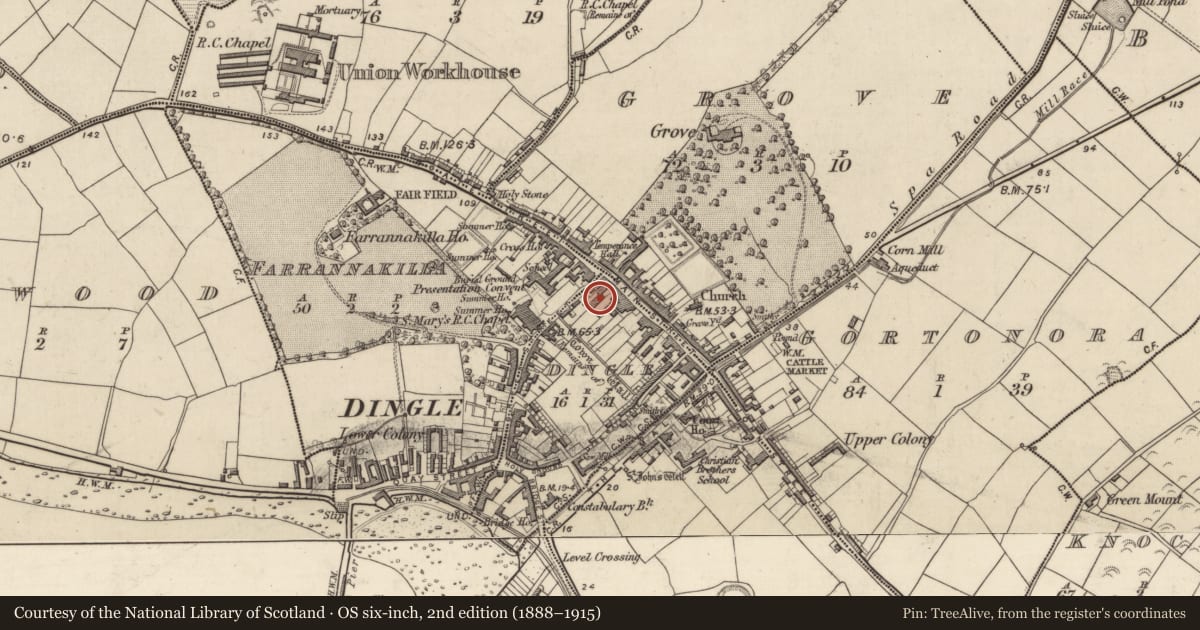 Ordnance Survey six-inch map, 2nd edition (1888–1915) covering the location of Castle - tower house, An Daingean, County Kerry, with a pin at the register's coordinates