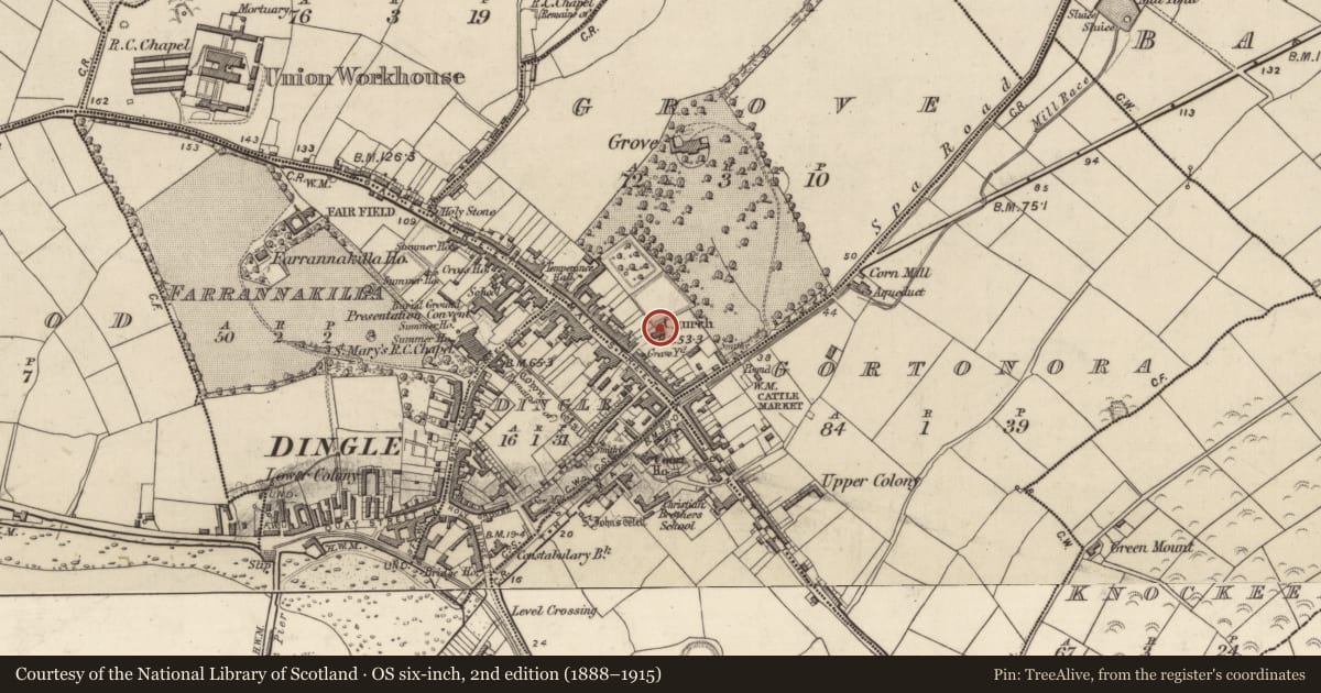 Ordnance Survey six-inch map, 2nd edition (1888–1915) covering the location of Church, An Gróbh, County Kerry, with a pin at the register's coordinates