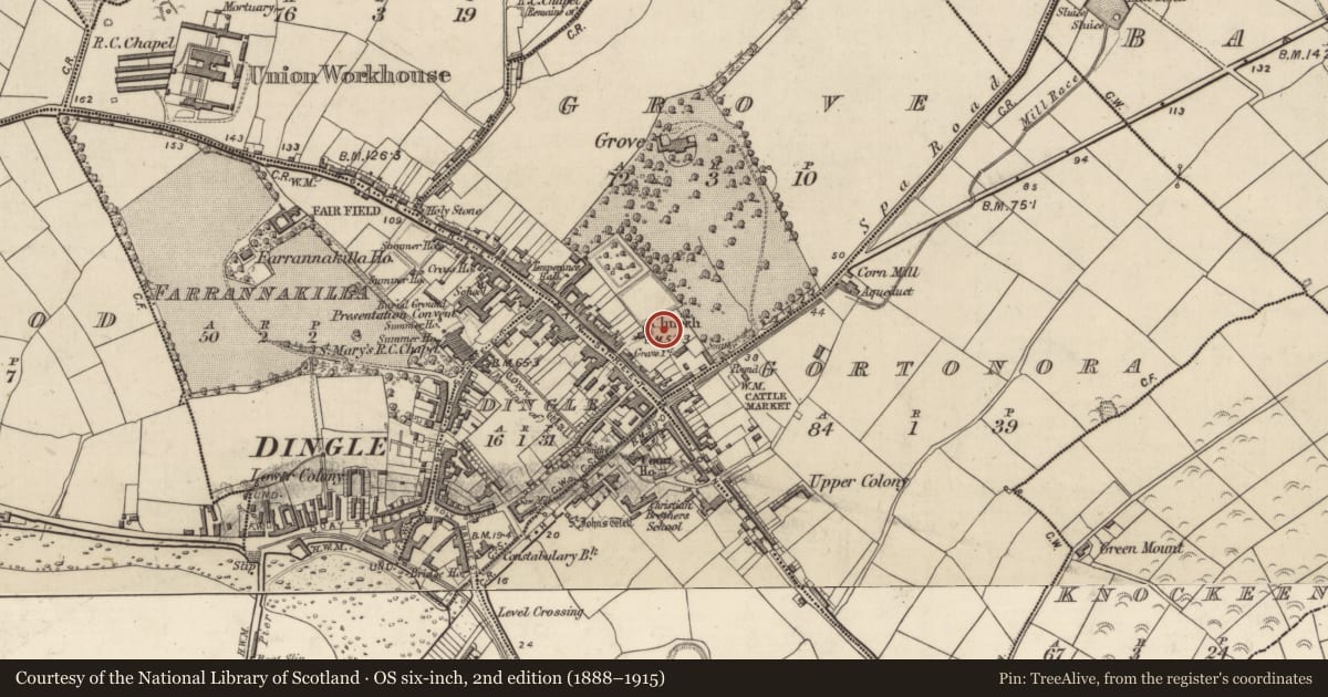 Ordnance Survey six-inch map, 2nd edition (1888–1915) covering the location of Memorial stone, An Gróbh, County Kerry, with a pin at the register's coordinates