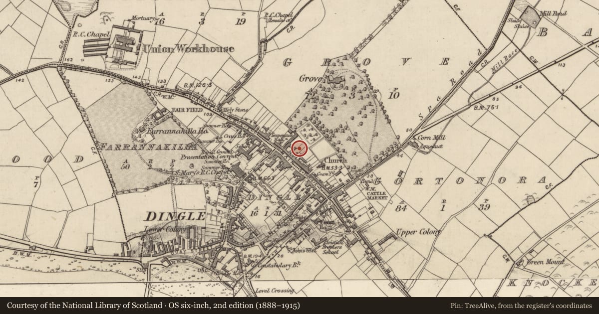 Ordnance Survey six-inch map, 2nd edition (1888–1915) covering the location of Tomb - unclassified, An Gróbh, County Kerry, with a pin at the register's coordinates