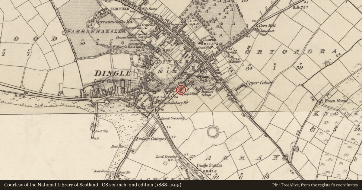 Ordnance Survey six-inch map, 2nd edition (1888–1915) covering the location of Ritual site - holy well, An Fearann (TC An Daingean), County Kerry, with a pin at the register's coordinates