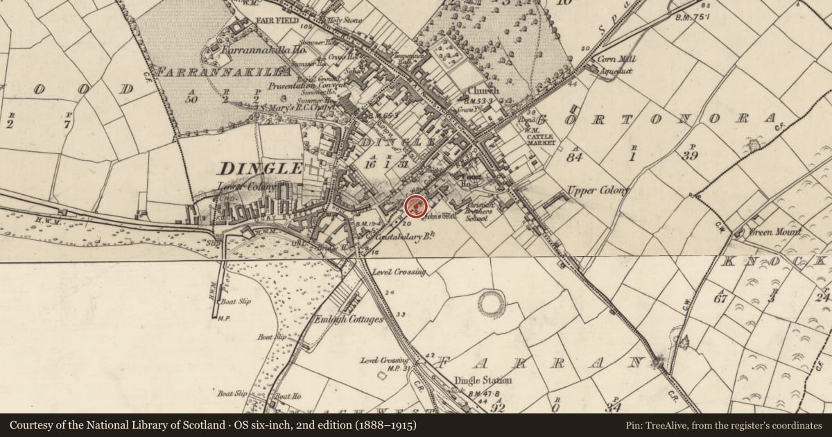 Ordnance Survey six-inch map, 2nd edition (1888–1915) covering the location of Cross-inscribed stone, An Fearann (TC An Daingean), County Kerry, with a pin at the register's coordinates