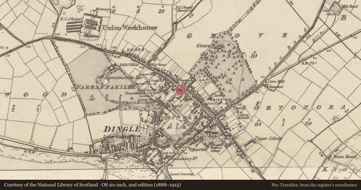 Ordnance Survey six-inch map, 2nd edition (1888–1915) covering the location of Inscribed stone, An Daingean, County Kerry, with a pin at the register's coordinates