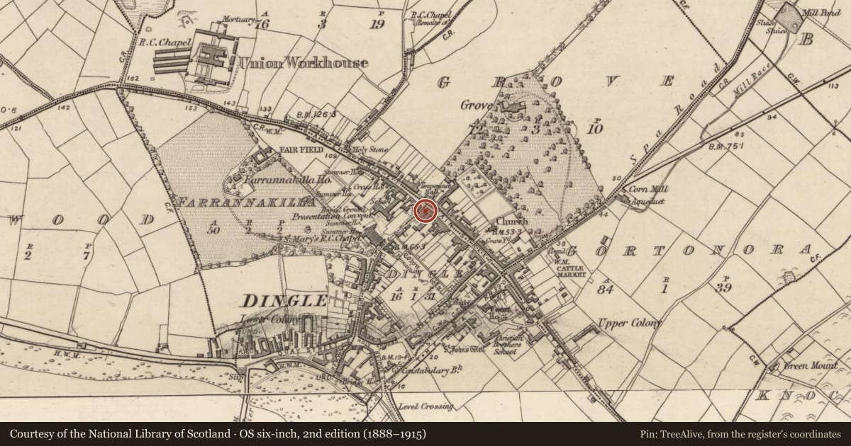 Ordnance Survey six-inch map, 2nd edition (1888–1915) covering the location of Inscribed stone, An Daingean, County Kerry, with a pin at the register's coordinates