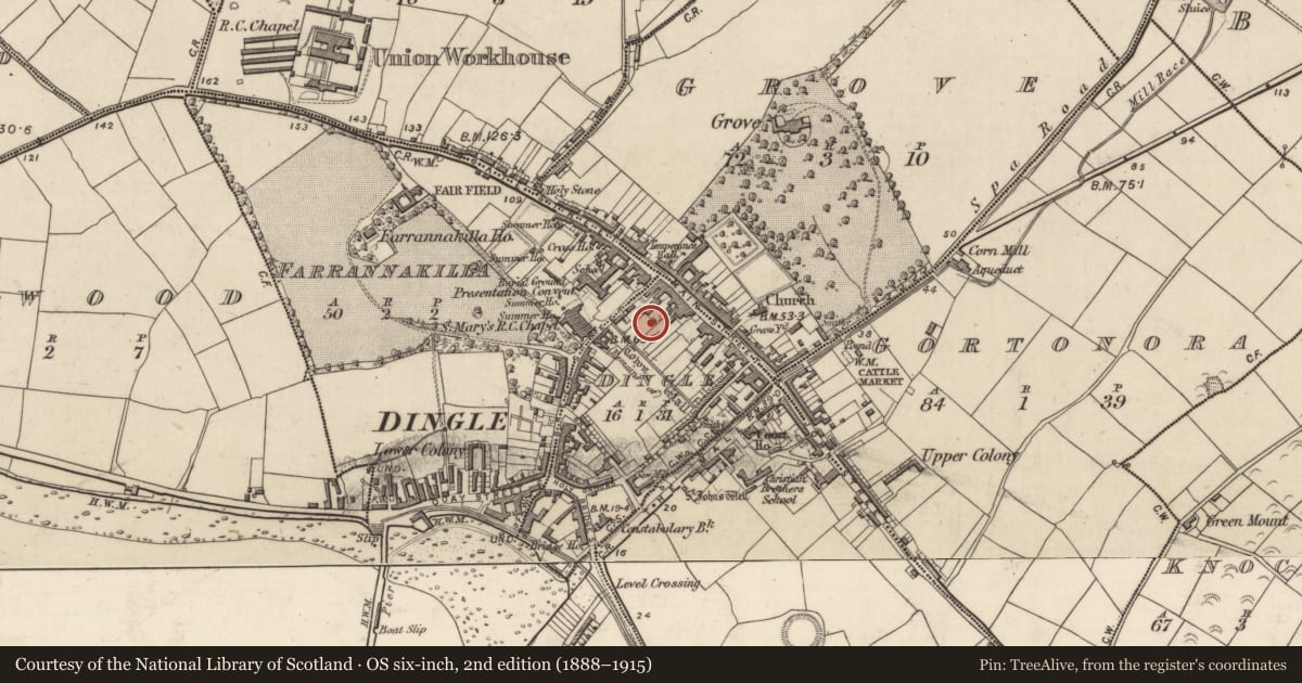 Ordnance Survey six-inch map, 2nd edition (1888–1915) covering the location of Architectural fragment, An Daingean, County Kerry, with a pin at the register's coordinates