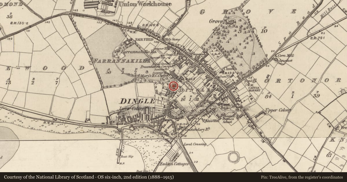 Ordnance Survey six-inch map, 2nd edition (1888–1915) covering the location of Architectural fragment, An Daingean, County Kerry, with a pin at the register's coordinates