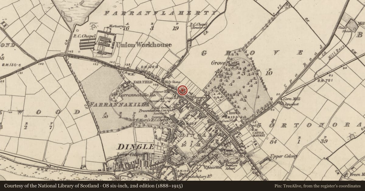 Ordnance Survey six-inch map, 2nd edition (1888–1915) covering the location of House - medieval, An Gróbh, County Kerry, with a pin at the register's coordinates