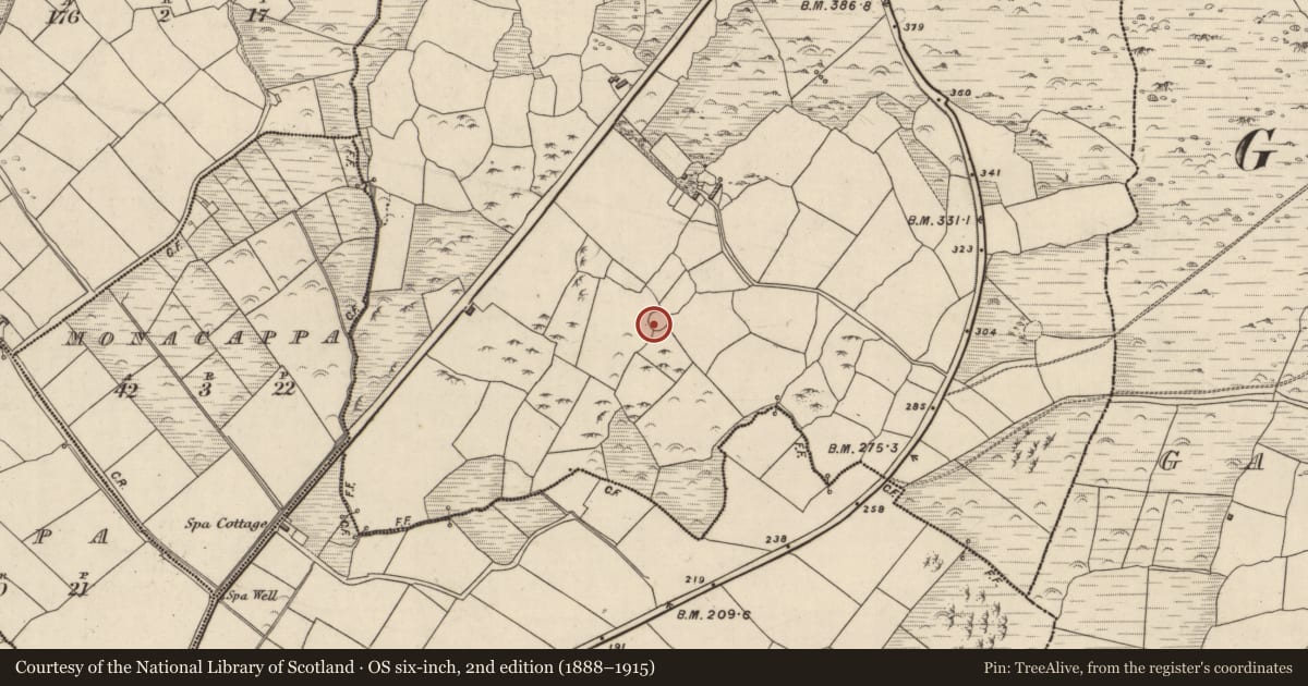 Ordnance Survey six-inch map, 2nd edition (1888–1915) covering the location of Ringfort - rath, Baile An Ásaigh, County Kerry, with a pin at the register's coordinates