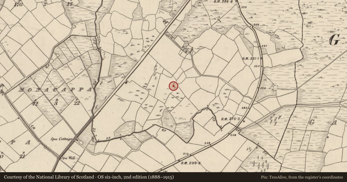 Ordnance Survey six-inch map, 2nd edition (1888–1915) covering the location of Souterrain, Baile An Ásaigh, County Kerry, with a pin at the register's coordinates