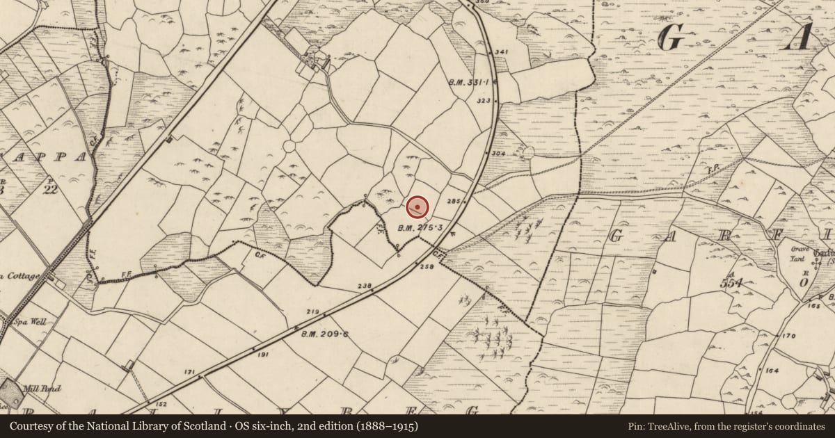 Ordnance Survey six-inch map, 2nd edition (1888–1915) covering the location of Rock art, Baile An Ásaigh, County Kerry, with a pin at the register's coordinates