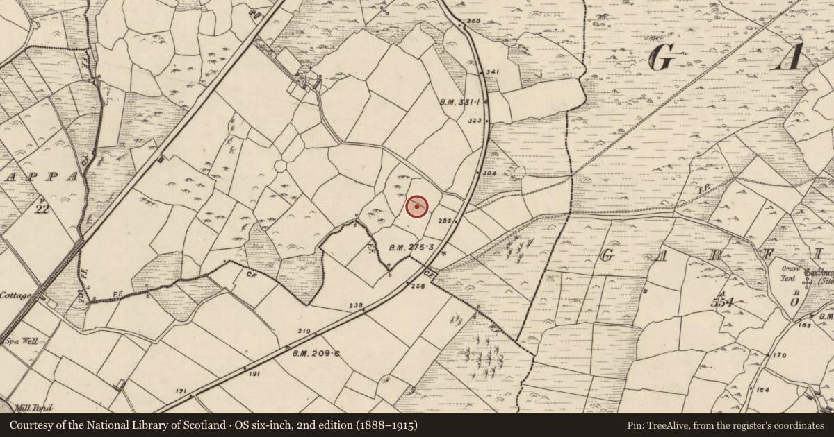 Ordnance Survey six-inch map, 2nd edition (1888–1915) covering the location of Rock art, Baile An Ásaigh, County Kerry, with a pin at the register's coordinates